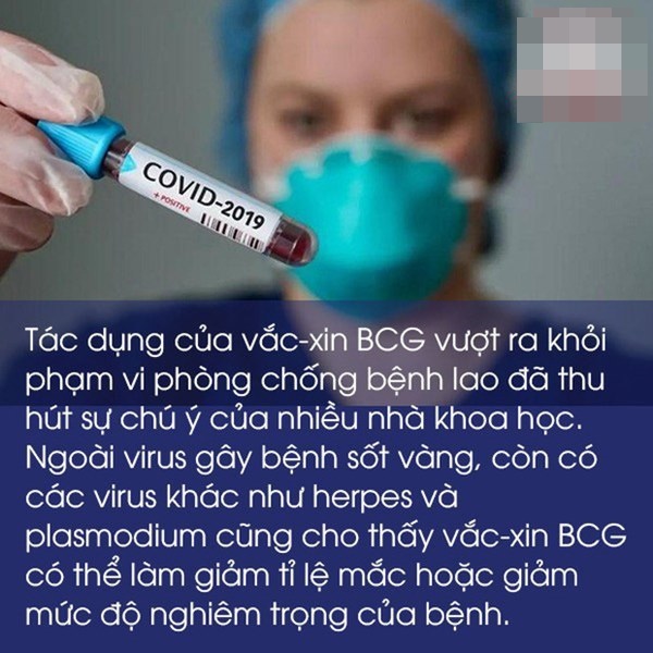 Bác sĩ BV Đa khoa Xanh Pôn: Vắc-xin phòng lao liệu có ngăn ngừa được virus SARS-CoV-2?-3