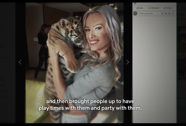 Review Tiger King: Món lạ lọt thỏm giữa rừng phim Hàn - Mỹ chiếm lĩnh top trending, series tài liệu lắm twist rùng mình-1