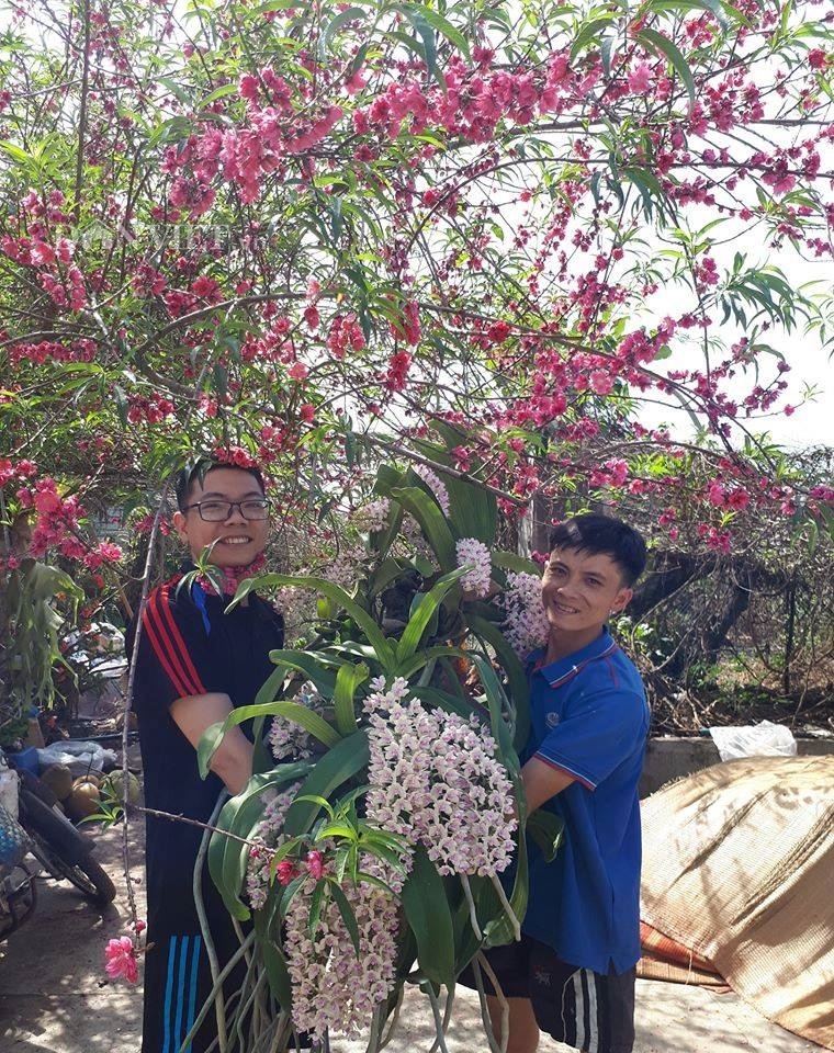 Thềm nhà treo toàn hoa lan rừng quý hiếm của trai 9X tỉnh Đắk Nông-3