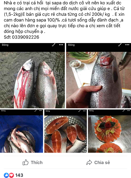 Cá hồi Sa Pa giảm giá sốc vẫn ế: Gian nan trong việc giải cứu tại Hà Nội-3