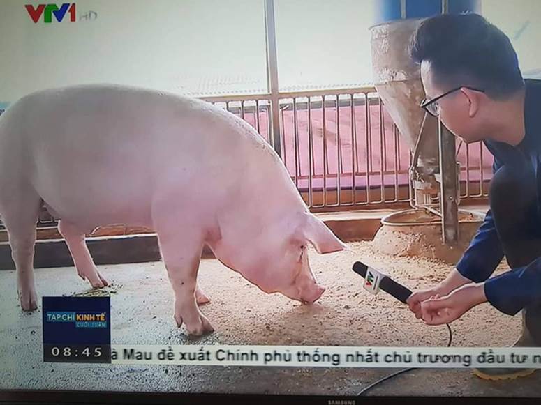 BTV của VTV và những lần chiếm spotlight trên MXH: Từ cà khịa, đu trend hay thậm chí là gặp sự cố cũng dễ thương quá đáng!-6