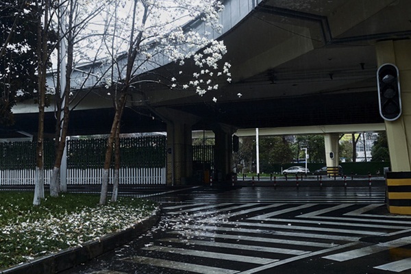 Nhật ký một gia đình có người bị ung thư trong những ngày phong tỏa ở Vũ Hán: Tê liệt, hoảng sợ tưởng không thể gượng dậy được-8