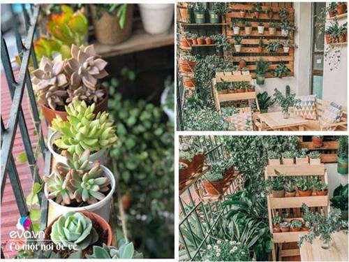 Mẹ Hà Nội cải tạo chuồng cọp” 6m2 thành ban công ngập sắc, chỉ mất 10 triệu-1