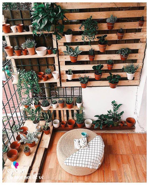 Mẹ Hà Nội cải tạo chuồng cọp” 6m2 thành ban công ngập sắc, chỉ mất 10 triệu-3