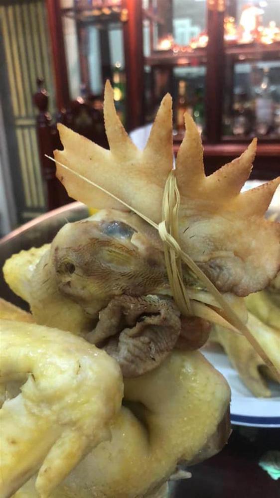 Tìm thấy hung thần của hội ghét bếp: Cuộc đời em là một đường thẳng, chỉ vì luộc gà mà... toang-13