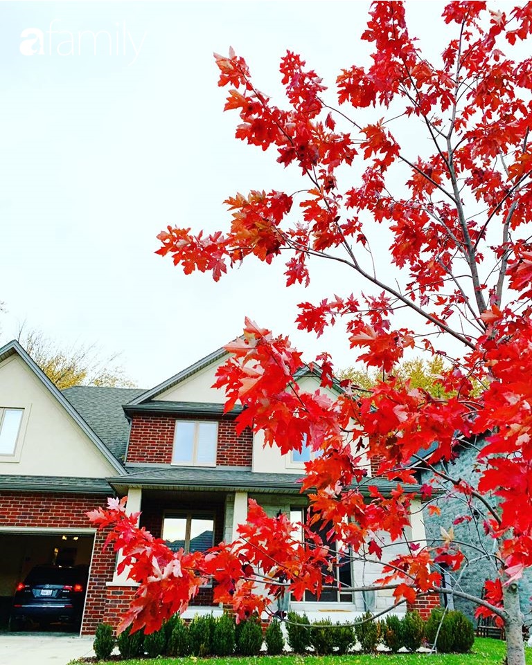 Mẹ Việt ở Canada khoe ngôi nhà đẹp như trong phim, thích nhất là căn bếp vừa đứng nấu cơm vừa ngắm trời mây cây cối-2