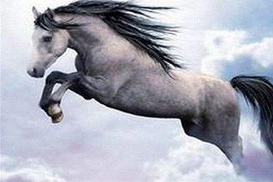 Bắt đầu từ hôm nay, 3 con giáp sẽ gặp may mắn, công việc suôn sẻ, tiền bạc được cải thiện rõ rệt