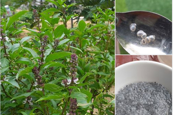 Bát giò chan canh hút đến 34 nghìn like, bí mật phía sau khiến tất cả không tin vào mắt mình-2