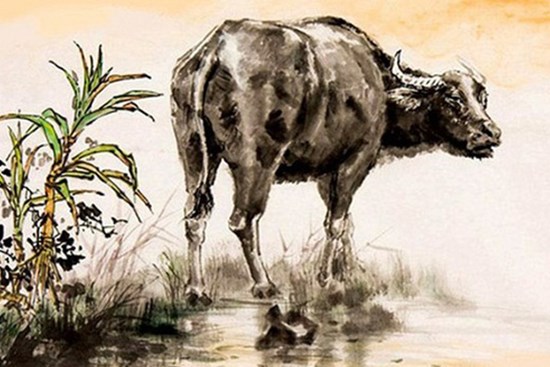 Top 3 con giáp hậu vận cực tốt, phúc lộc đầy mình, càng già càng giàu nứt đố đổ vách