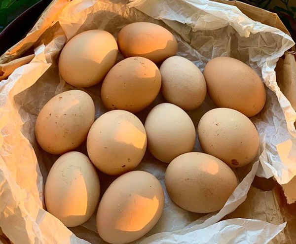 Sống sung túc, Mỹ Lệ vẫn chăm nấu ăn cho chồng con, thấy béo mẫm cũng đáng-18