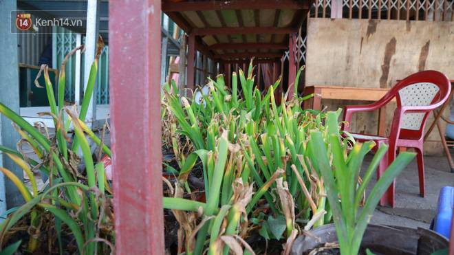 Cảnh tượng chưa từng có ở chợ hoa lớn nhất Hà Nội mùa Covid -19-10