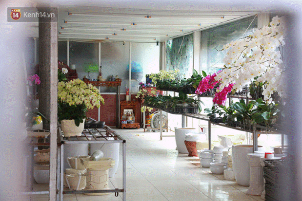 Cảnh tượng chưa từng có ở chợ hoa lớn nhất Hà Nội mùa Covid -19-14