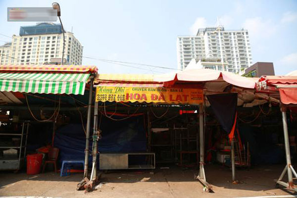 Hoa Đà Lạt cho không, về Sài Gòn muốn mua rẻ phải ra lề đường-12