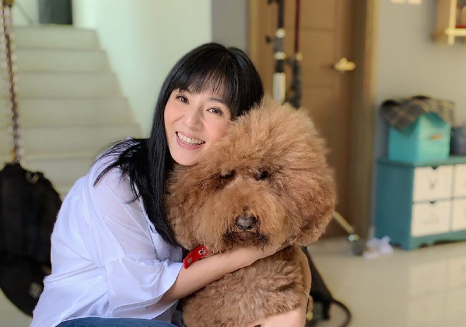 Chúc Anh Đài xinh đẹp nức tiếng: Vỡ nợ khi từ bỏ showbiz theo bạn trai, giờ ra sao ở tuổi U50?-16