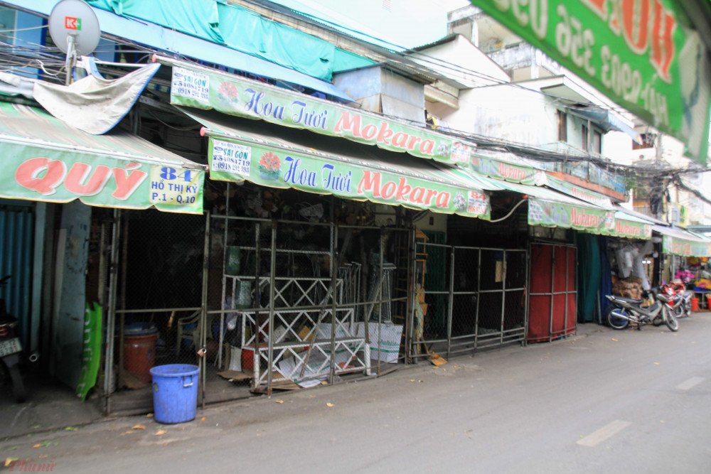 Hoa Đà Lạt cho không, về Sài Gòn muốn mua rẻ phải ra lề đường-10