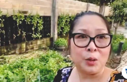 Sao Việt khoe vườn: NSND Hồng Vân nuôi gà, Quốc Thuận có nhà xum xuê cây-2