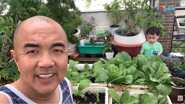 Sao Việt khoe vườn: NSND Hồng Vân nuôi gà, Quốc Thuận có nhà xum xuê cây-6