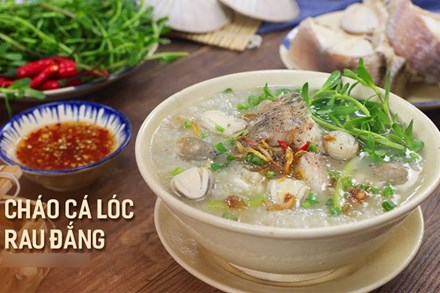 6 cách nấu cháo cá lóc thơm ngon bổ dưỡng đơn giản tại nhà