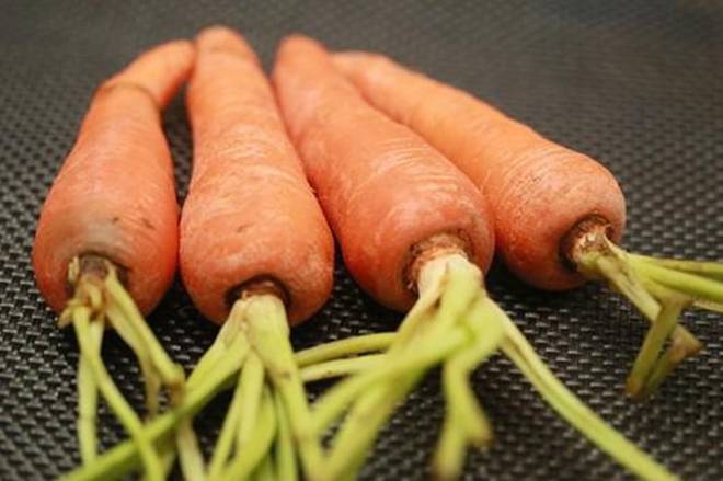 Signs you should immediately throw away peeled carrots -4
