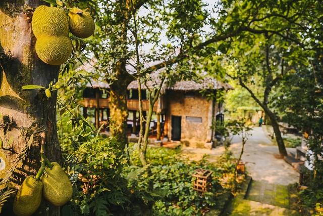 Ngôi nhà trong mơ trên đỉnh núi gần Hà Nội: Cá đầy ao, vườn đầy hoa trái-4