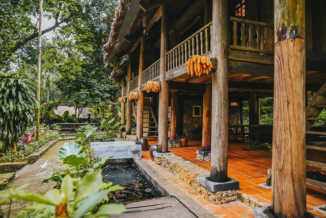 Ngôi nhà trong mơ trên đỉnh núi gần Hà Nội: Cá đầy ao, vườn đầy hoa trái-6