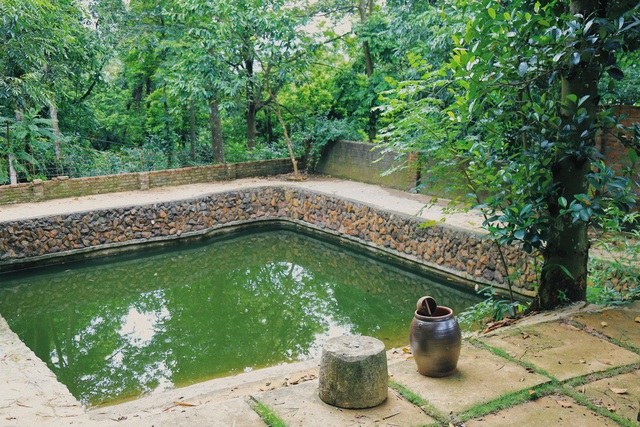 Ngôi nhà trong mơ trên đỉnh núi gần Hà Nội: Cá đầy ao, vườn đầy hoa trái-12