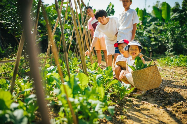 Ngôi nhà trong mơ trên đỉnh núi gần Hà Nội: Cá đầy ao, vườn đầy hoa trái-17