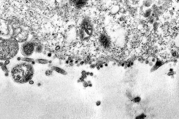 Người phụ nữ liên tục ném gậy vào người đi đường-1