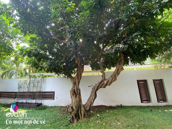 9X Sài Gòn gây sốt giới nghiện nhà” với biệt thự khủng, riêng cây đàn trị giá 1 tỷ đồng-17