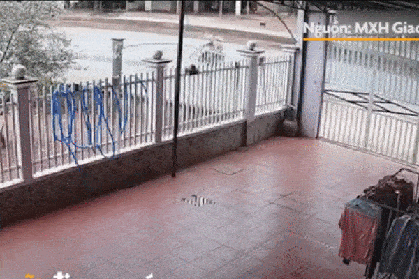 Đôi nam nữ đi xe máy bị ôtô tải đâm nguy kịch