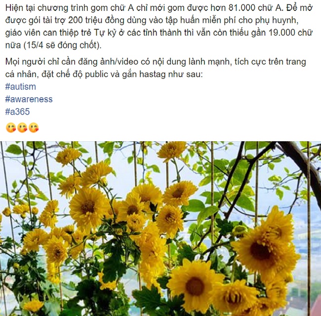 Về vụ việc 100.000 chữ A: VAN - Mạng lưới tự kỷ Việt Nam chính thức gửi lời cảm ơn và xin lỗi sau cùng-2