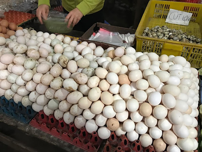 Trứng gà rẻ hơn rau, chủ trang trại lỗ chục tỷ đồng-1