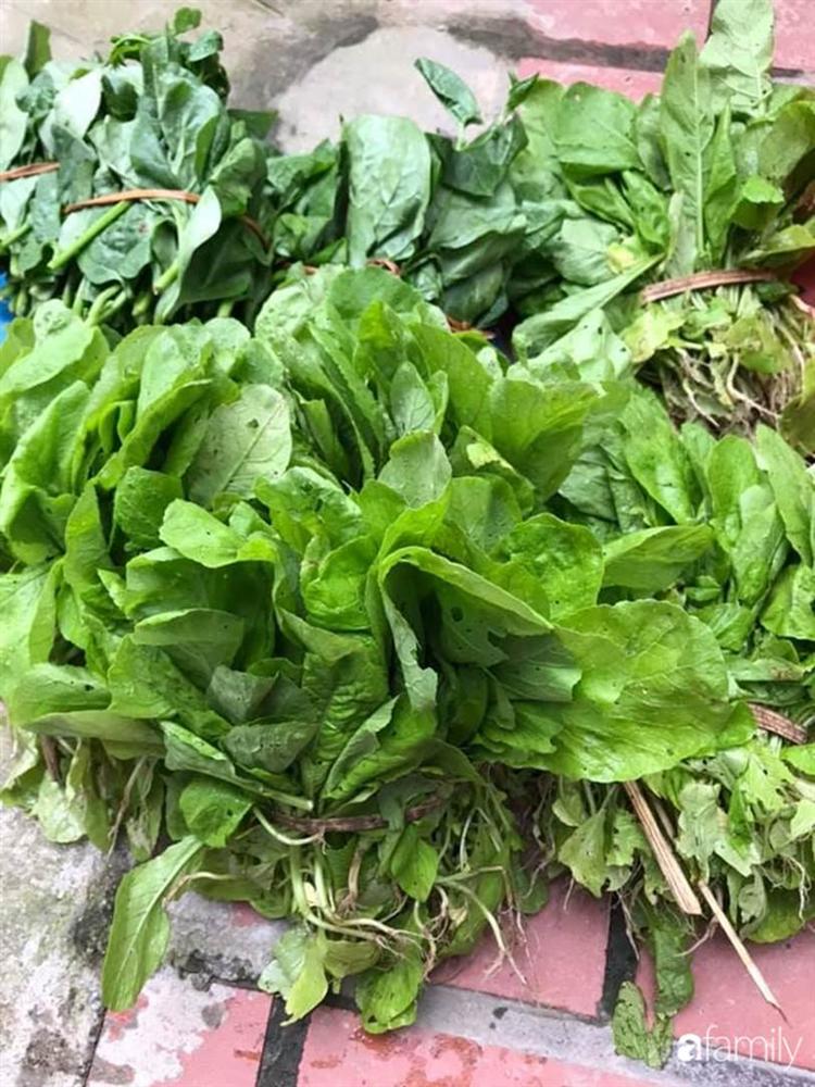 Nhờ tính toán thuê đất trồng rau, nuôi gà trên sân thượng mà mẹ đảm Hà Nội một tháng đi chợ 2 lần, tiền chợ tiêu không quá 1,5 triệu đồng/tháng cho gia đình 5 người-8