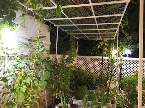 2 nghệ sĩ miền Tây ra ngoài thiện nguyện vô số, ở biệt thự vẫn cuốc đất làm vườn-4