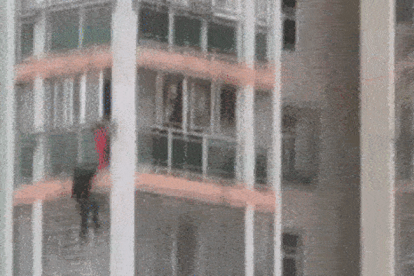 Cảnh sát lần lượt dẫn 2 đàn vịt con đi tìm mẹ quanh công viên, dân mạng hài hước bình luận: Không tìm được mẹ thì cả đàn cũng có bố rồi!-5