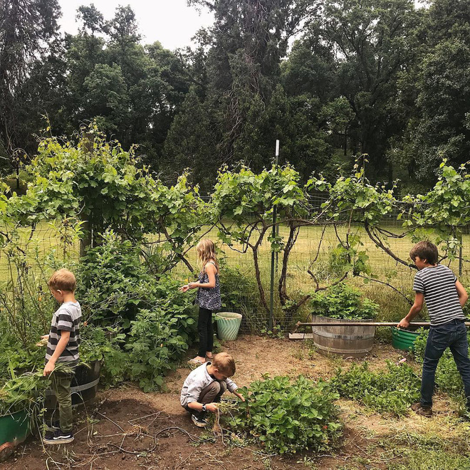 Bán nhà ở phố về trang trại sống, cặp vợ chồng táo bạo biến căn nhà cũ trông như hầm chứa thành không gian đẹp hệt ảnh tạp chí-21