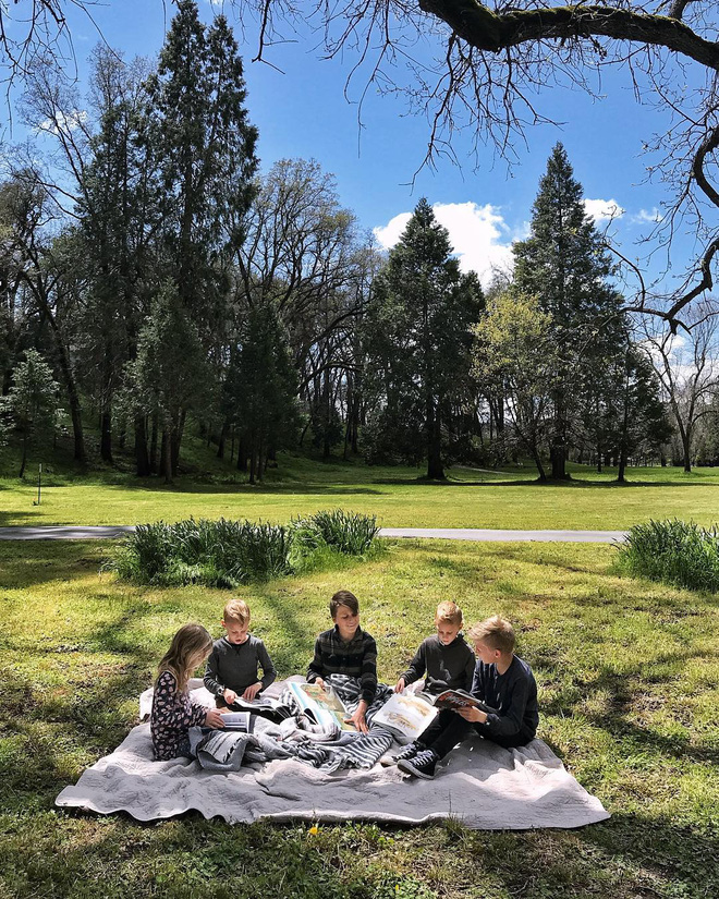 Bán nhà ở phố về trang trại sống, cặp vợ chồng táo bạo biến căn nhà cũ trông như hầm chứa thành không gian đẹp hệt ảnh tạp chí-20