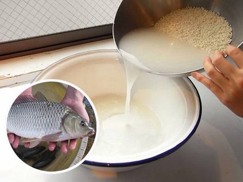 Không cần dùng giấm hay rượu khử tanh, chỉ cần rút sợi này khi mổ cá sẽ hết mùi-2