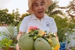 Hình ảnh khiến triệu người thích thú của MC giàu nhất nhì Việt Nam Quyền Linh-13