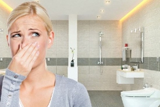 Nhà vệ sinh một tuần vẫn thơm tho nhờ mẹo nhỏ ít người biết