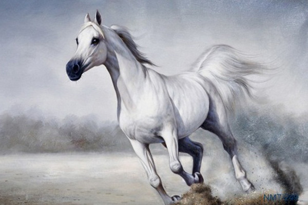 Tử vi tuần mới của 12 con giáp (từ 20/4- 26/4/2020): Tỵ đối mặt Hung tinh, Mùi có tin vui-4