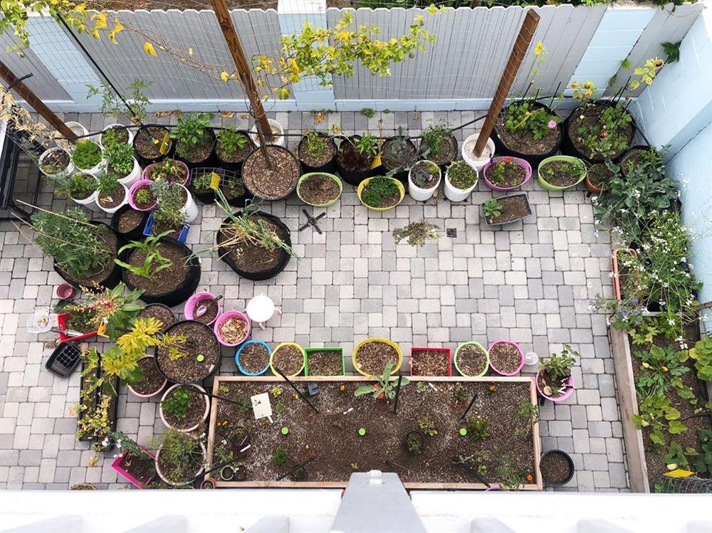 Tận dụng mảnh sân bê tông, cô gái thu hoạch mỏi tay rau củ quả quanh năm nhờ phương pháp đơn giản không phải ai cũng biết-1