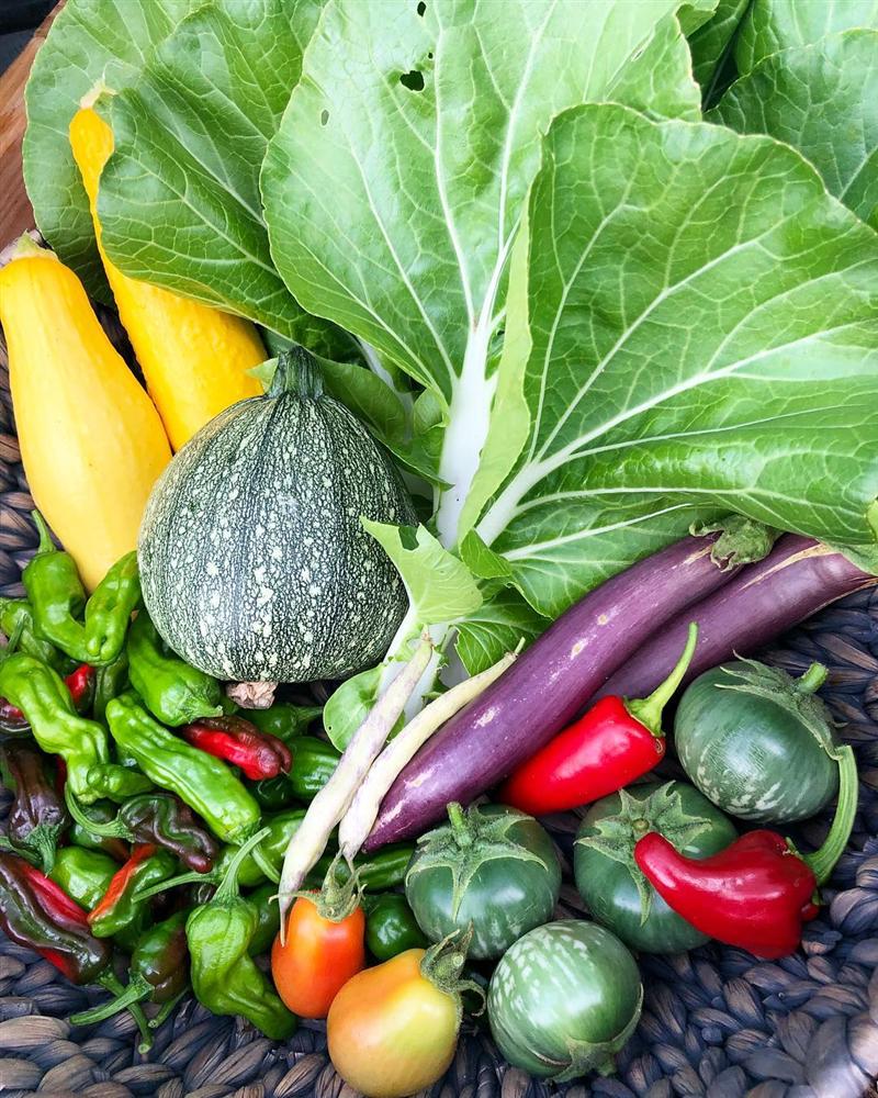 Tận dụng mảnh sân bê tông, cô gái thu hoạch mỏi tay rau củ quả quanh năm nhờ phương pháp đơn giản không phải ai cũng biết-11