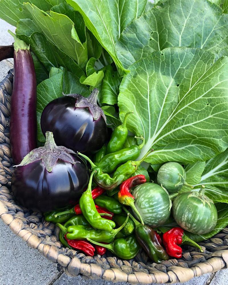 Tận dụng mảnh sân bê tông, cô gái thu hoạch mỏi tay rau củ quả quanh năm nhờ phương pháp đơn giản không phải ai cũng biết-15