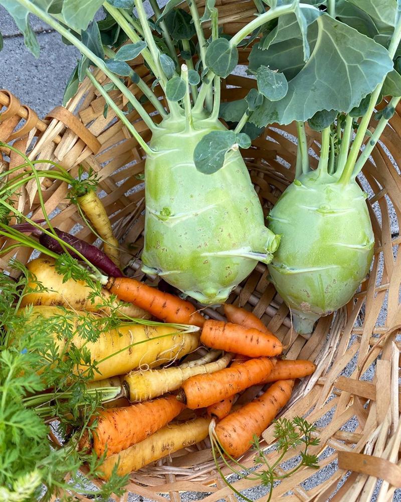 Tận dụng mảnh sân bê tông, cô gái thu hoạch mỏi tay rau củ quả quanh năm nhờ phương pháp đơn giản không phải ai cũng biết-23