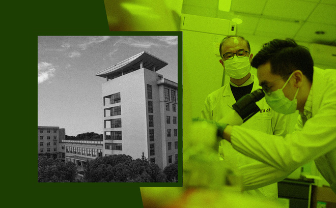 Giám đốc phòng thí nghiệm tuyệt mật ở Vũ Hán lên tiếng về nghi vấn để lọt virus SARS-CoV-2-1