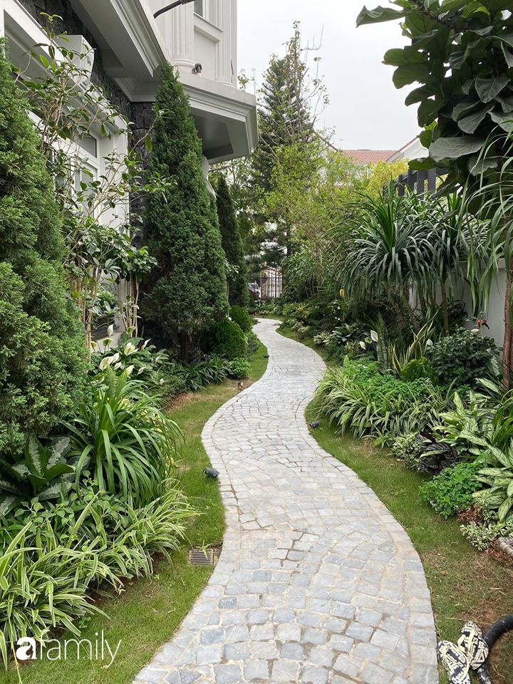 Người đàn ông đang sở hữu góc vườn đẹp hút hồn ở Hà Nội chia sẻ kinh nghiệm trồng cây để có khu vườn đẹp như châu Âu-1