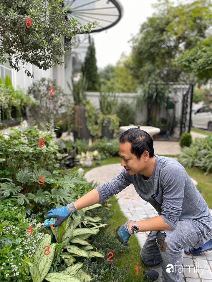 Người đàn ông đang sở hữu góc vườn đẹp hút hồn ở Hà Nội chia sẻ kinh nghiệm trồng cây để có khu vườn đẹp như châu Âu-5