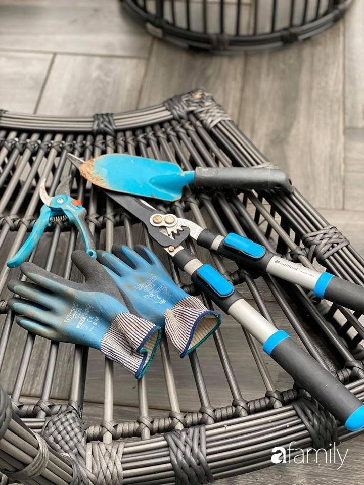 Người đàn ông đang sở hữu góc vườn đẹp hút hồn ở Hà Nội chia sẻ kinh nghiệm trồng cây để có khu vườn đẹp như châu Âu-6