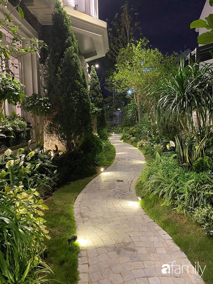 Người đàn ông đang sở hữu góc vườn đẹp hút hồn ở Hà Nội chia sẻ kinh nghiệm trồng cây để có khu vườn đẹp như châu Âu-22